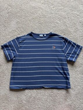 Aldi Striped Navy Blue Short Sleeve Tee with Rainbow Aldi Logo Cropped